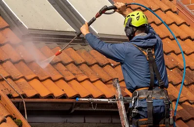 Démoussage et hydrofuge de toiture à Mésangueville